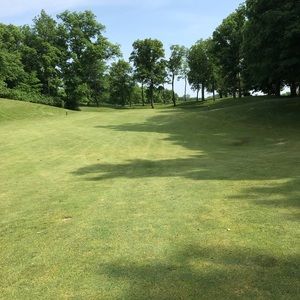 Meet your Posher, Greg